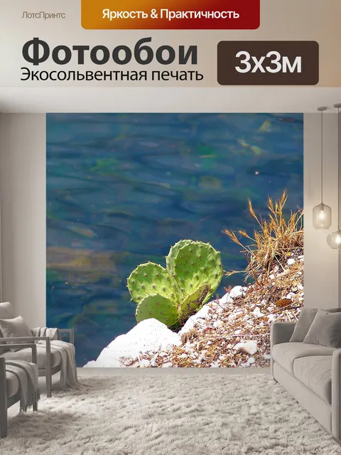 Фотообои Кактус