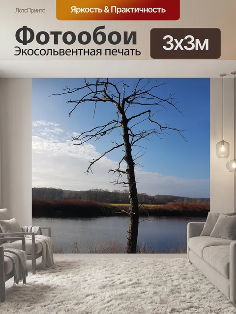 Фотообои Берег реки