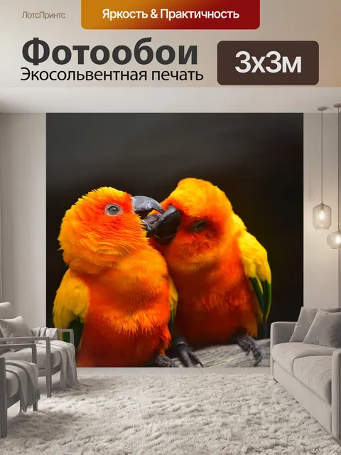 Фотообои Попугай