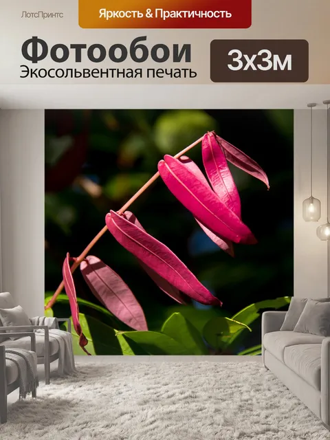 Фотообои Листья