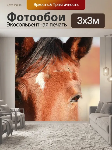 Фотообои Лошади