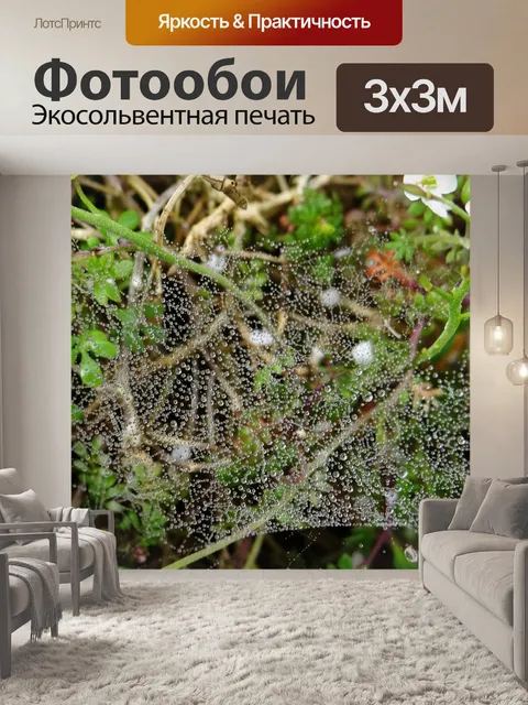 Фотообои Росы 4