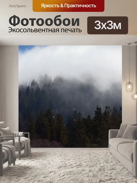 Фотообои туманный лес
