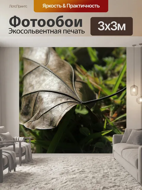 Фотообои Лист