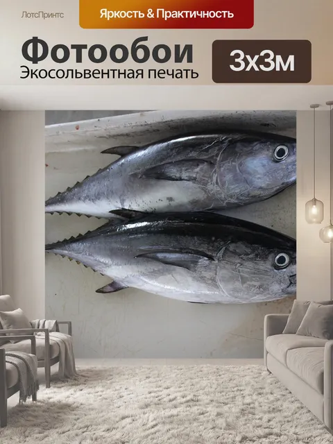Фотообои Рыбы