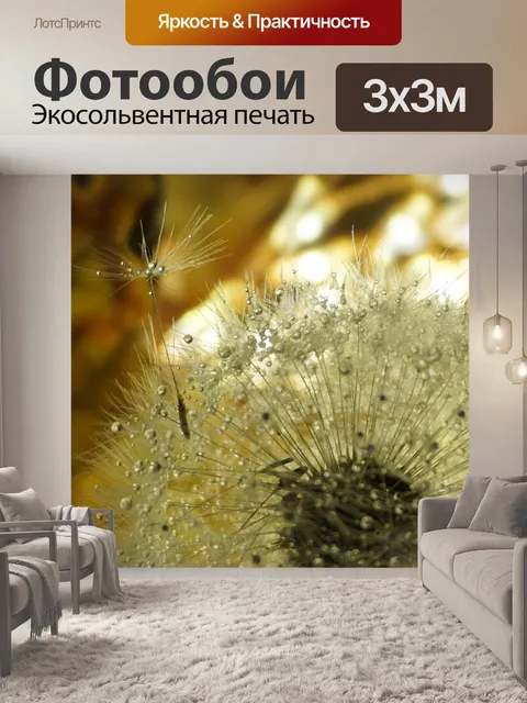 Фотообои Одуванчик