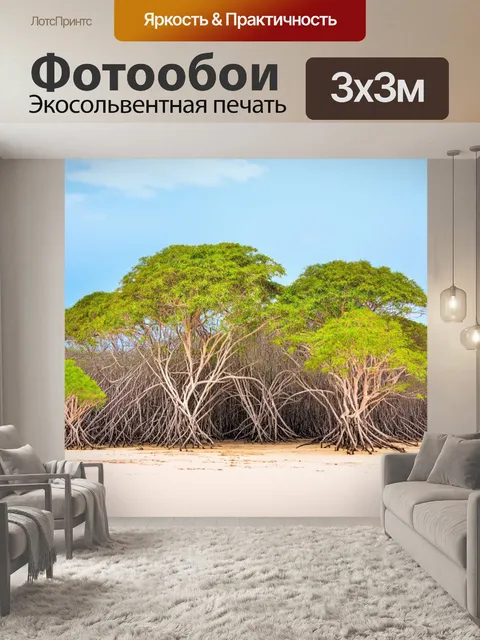 Фотообои бежевые оставшиеся мангровые деревья в пустынном пейзаже