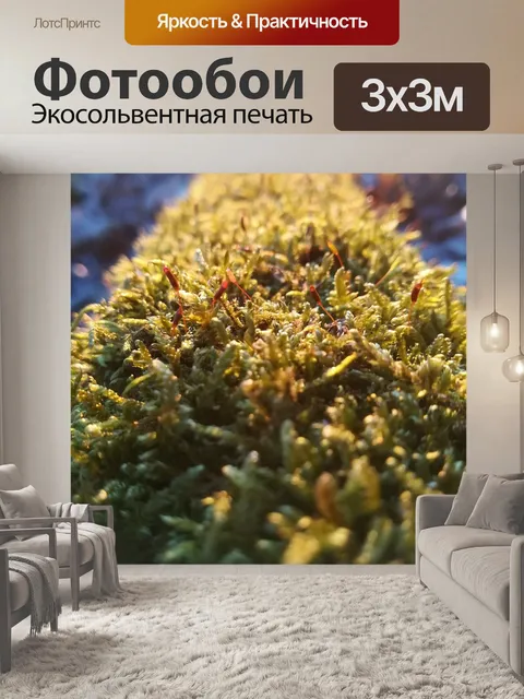 Фотообои Лес