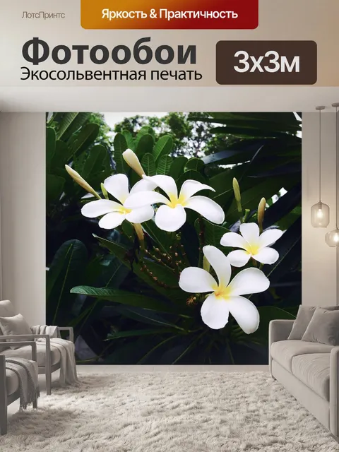 Фотообои Франжипани