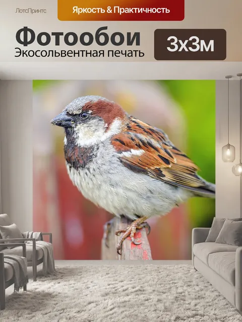 Фотообои Воробей