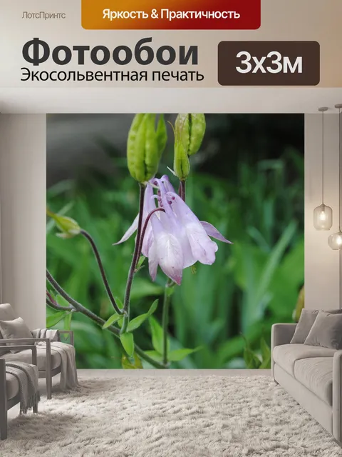 Фотообои Цветы