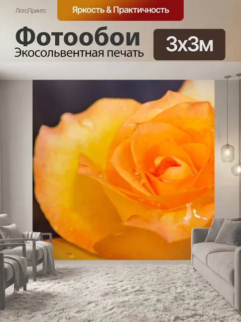 Фотообои Роза в саду