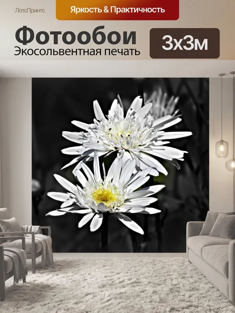 Фотообои Цветок