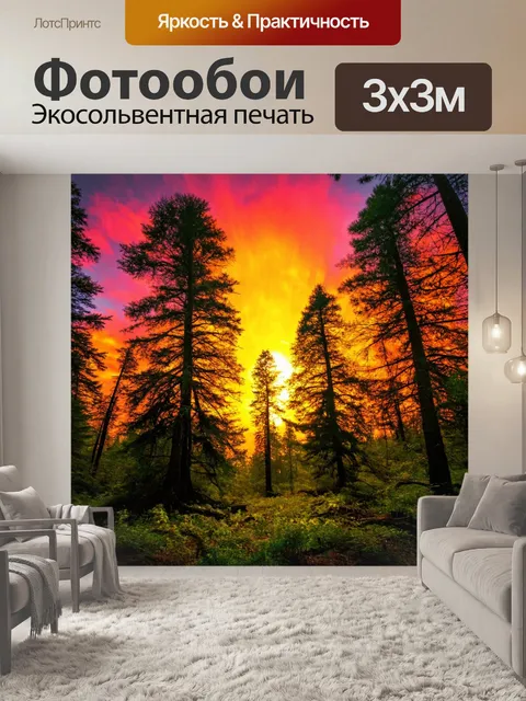 Фотообои лес с великолепными закатами и яркими красками на небе