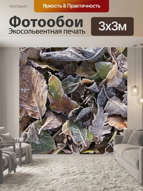 Фотообои Осенние листья