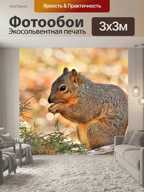 Фотообои Fox Squirrel и Bokeh