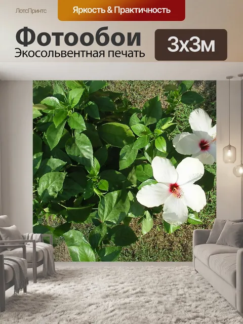 Фотообои Просто