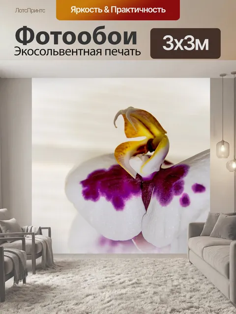 Фотообои Орхидея