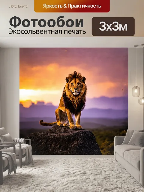 Фотообои лев, величественный царь зверей, сидит на высоком каменном утесе, освещенном закатным светом