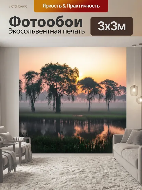 Фотообои рассвет на болотах, где легкий туман окутывает деревья