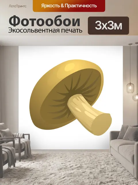Фотообои Гриб