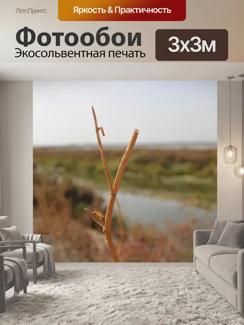 Фотообои Пейзаж