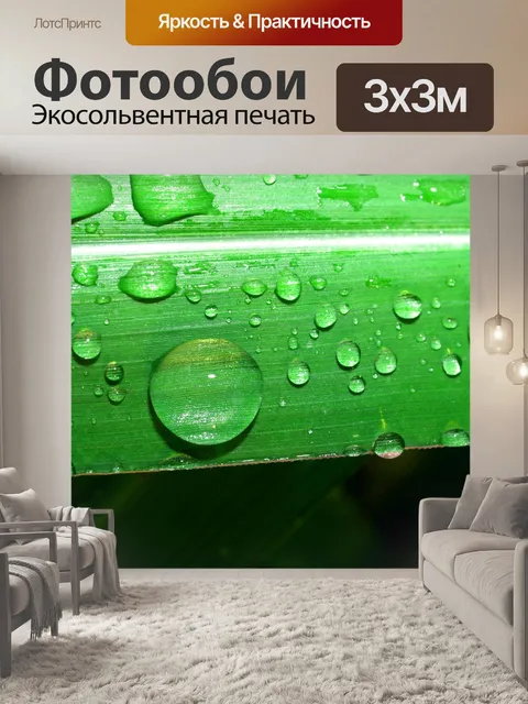 Фотообои Капля воды на листе