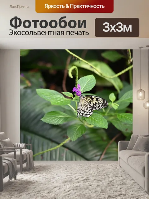 Фотообои Бабочка
