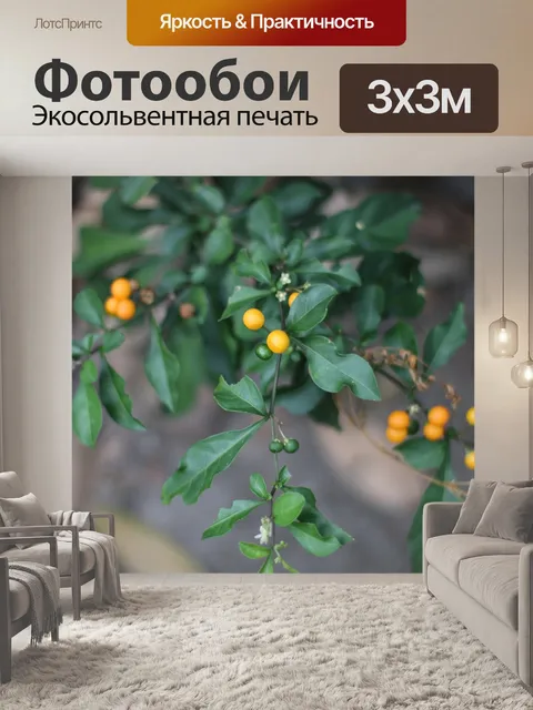 Фотообои Фрукты