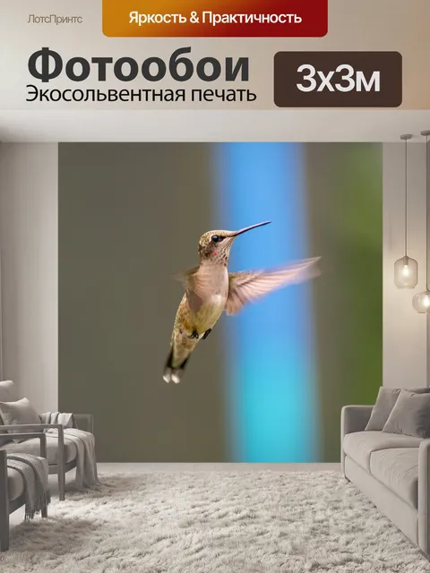 Фотообои Птица