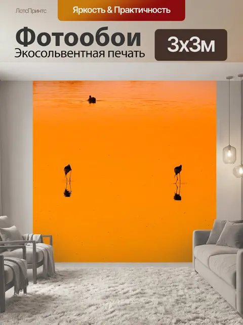 Фотообои Птица