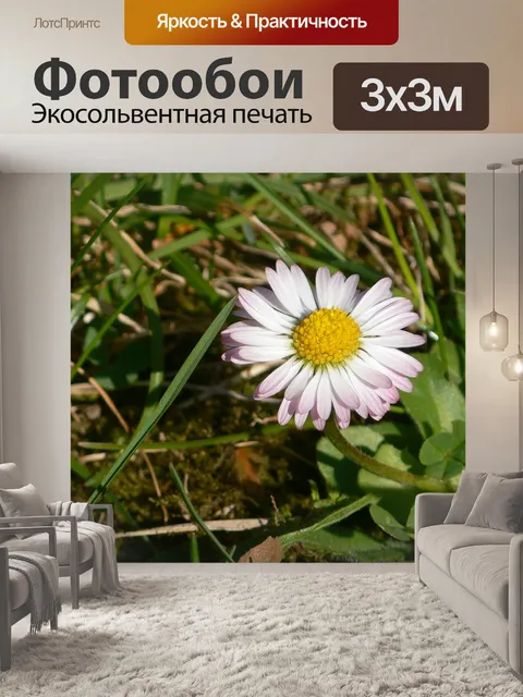 Фотообои Весенний цветок