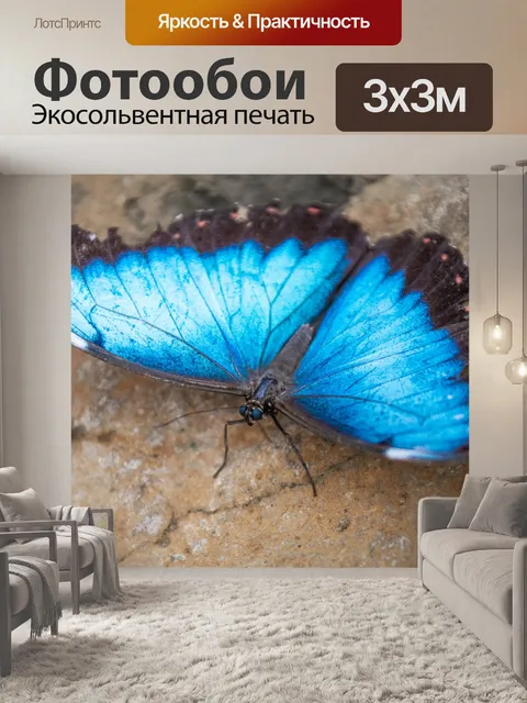 Фотообои Бабочка Морфо