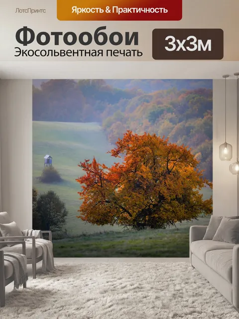 Фотообои Деревья