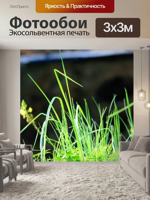 Фотообои высокая трава и стебли