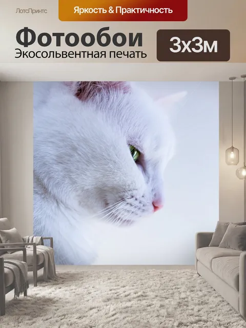 Фотообои Кошки скрести