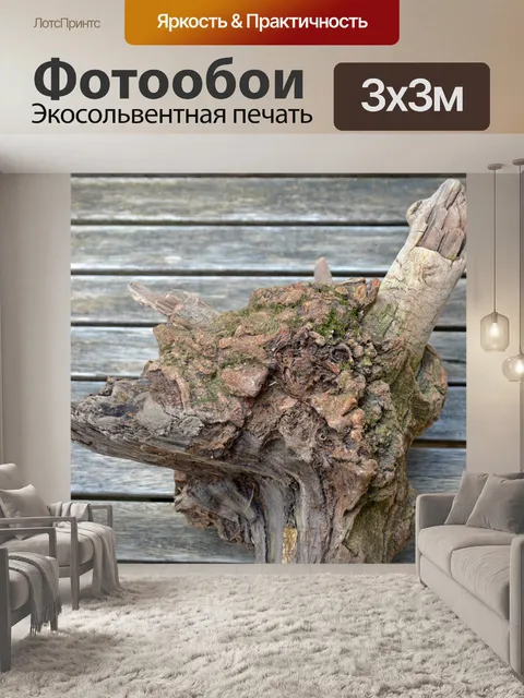 Фотообои Коряги