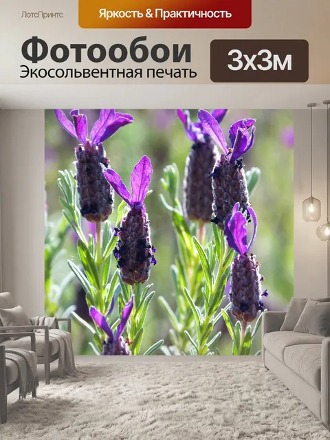 Фотообои Лаванда