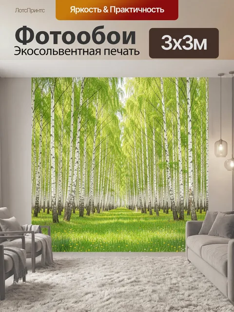 Фотообои Берёзовая аллея весенним днём