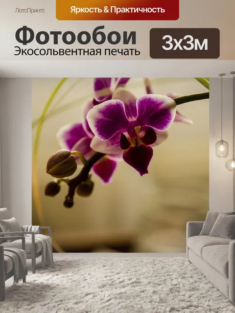 Фотообои Орхидея