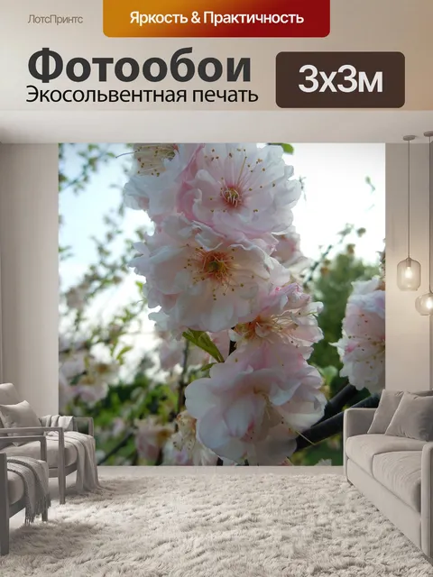 Фотообои Вишни в цвету