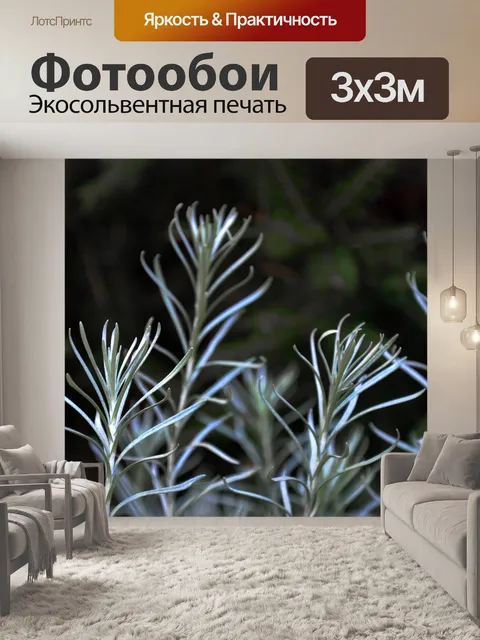 Фотообои Лаванда