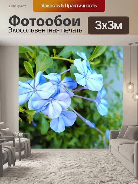 Фотообои Цветок