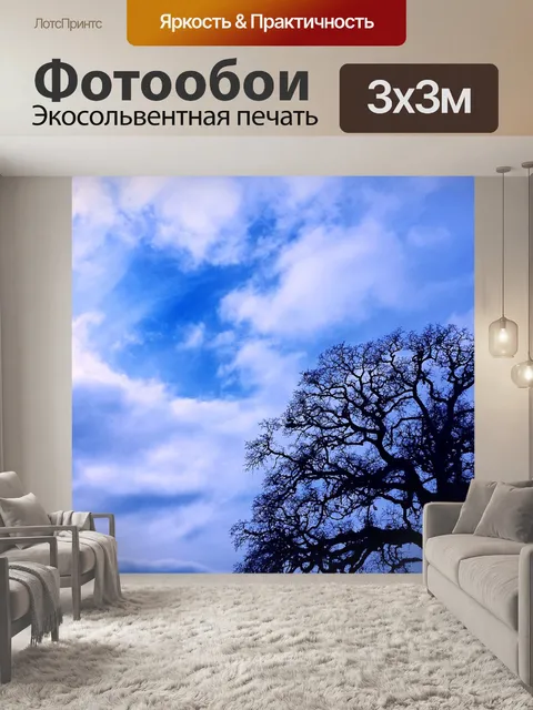 Фотообои Деревья