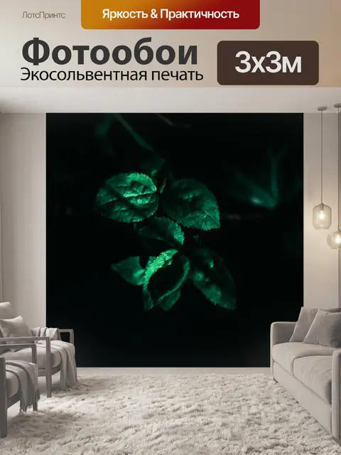 Фотообои Природный мир