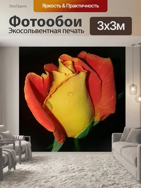 Фотообои Цветы