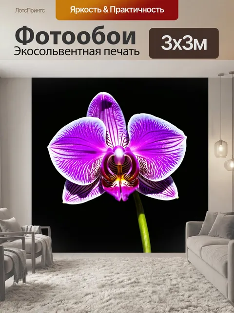 Фотообои орхидея с перьями вокруг