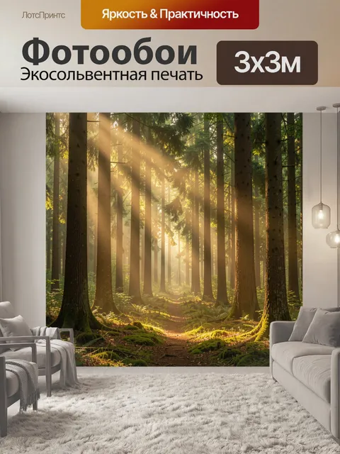 Фотообои Солнечный лесной путь среди елей