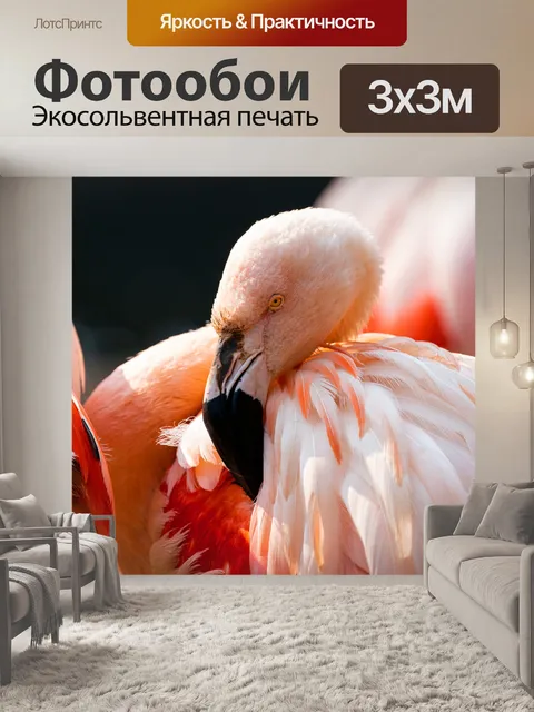 Фотообои Ярус