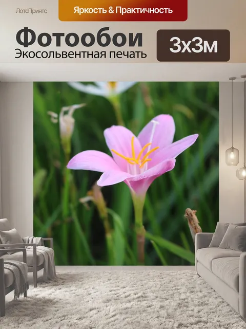 Фотообои Цветы